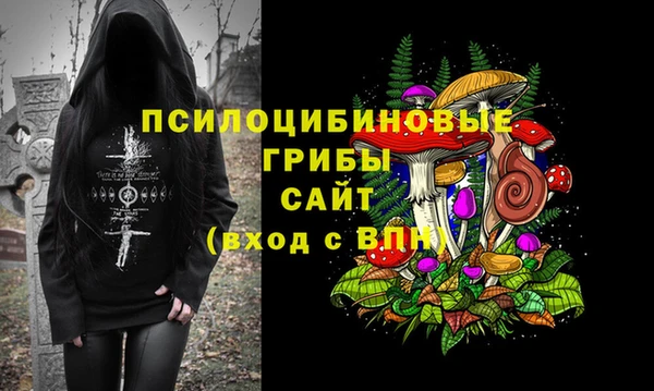PSILOCYBIN Куйбышев
