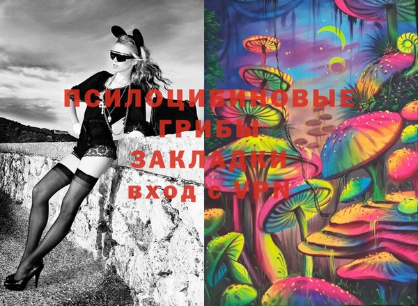 амф Ладушкин