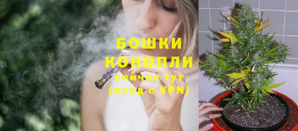 амф Ладушкин