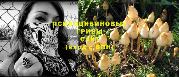 амф Ладушкин