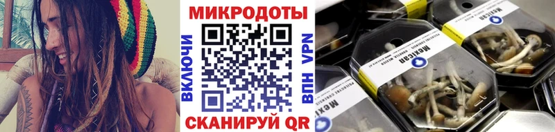 Купить  Котово  Псилоцибиновые грибы Psilocybine cubensis 